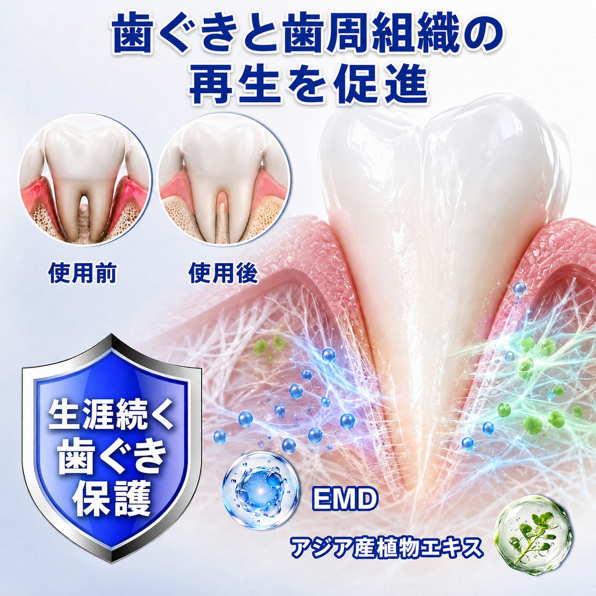 🇯🇵 👨‍⚕️✅🦷 HEATWOLF® GumRevive – 歯周組織修復ジェル 🦷✨2️⃣