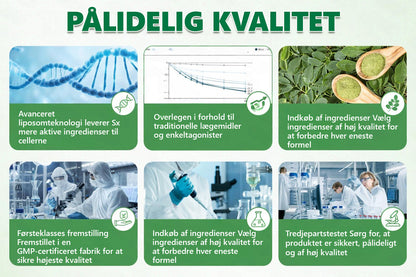 Officiel Butik | 🧡🧡CureVivo® Moringa · Berberin × NAD+ 10-i-1 Avanceret Nano Mikronålplaster 🇩🇰 (Én gang om dagen, synlige resultater på 7 dage) ✅ Til overvægt, slap hud, diabetes, søvnapnø, ledproblemer med mere